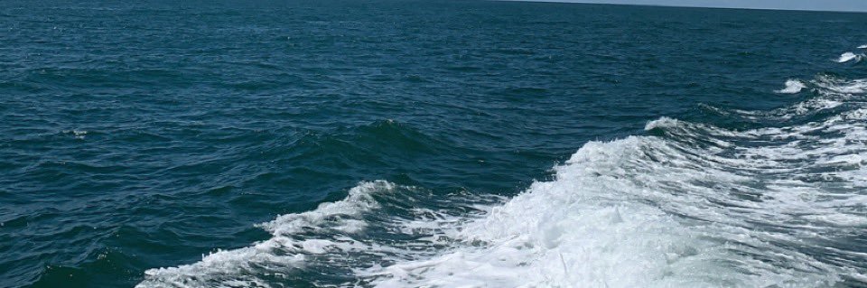 rimafrt's profile banner image