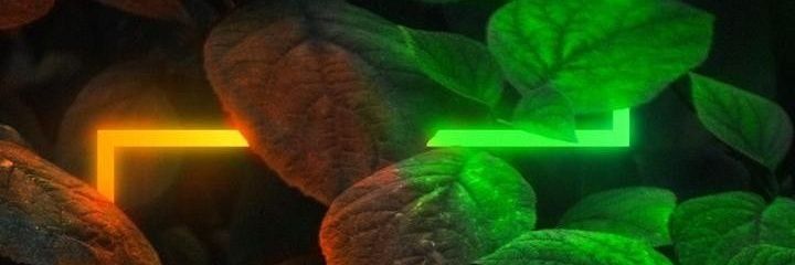 RAMiK_LEZGiN's profile banner image
