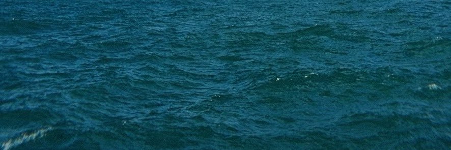 booboo the fool banner