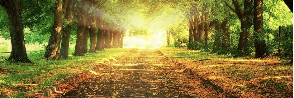 ChizzyMonago's profile banner image