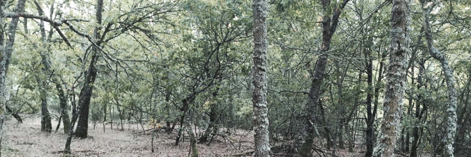 Marprovil's profile banner image