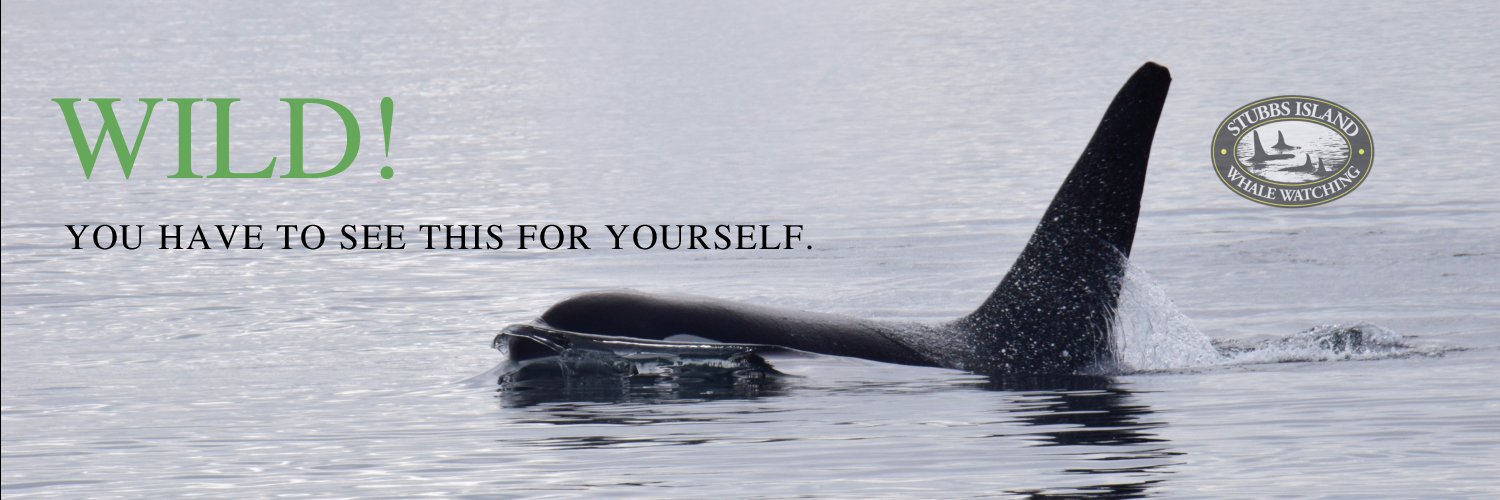 StubbsIsland's profile banner image