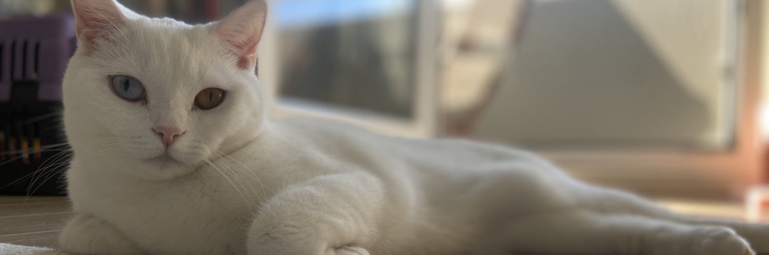 ftugcecinar's profile banner image