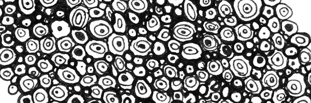anndipaolo's profile banner image
