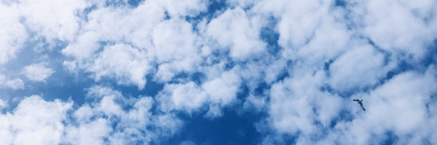 begoffm's profile banner image