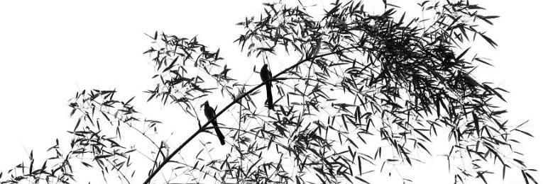 KarsVilla's profile banner image