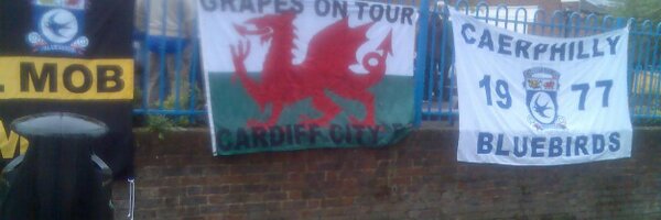 CCFCGrapes Profile Banner