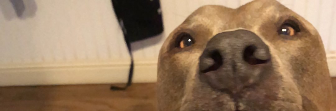 Ayye_Fleming's profile banner image