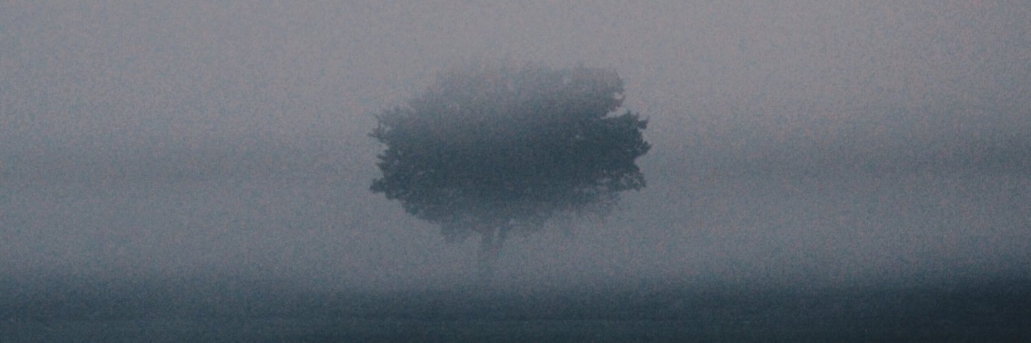 fcobanlar's profile banner image