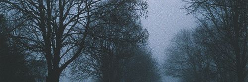 suckmygrassi's profile banner image