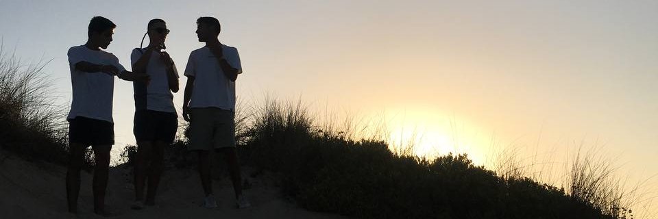 joao_valido's profile banner image