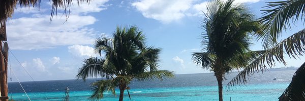 yuan_lu1 Profile Banner