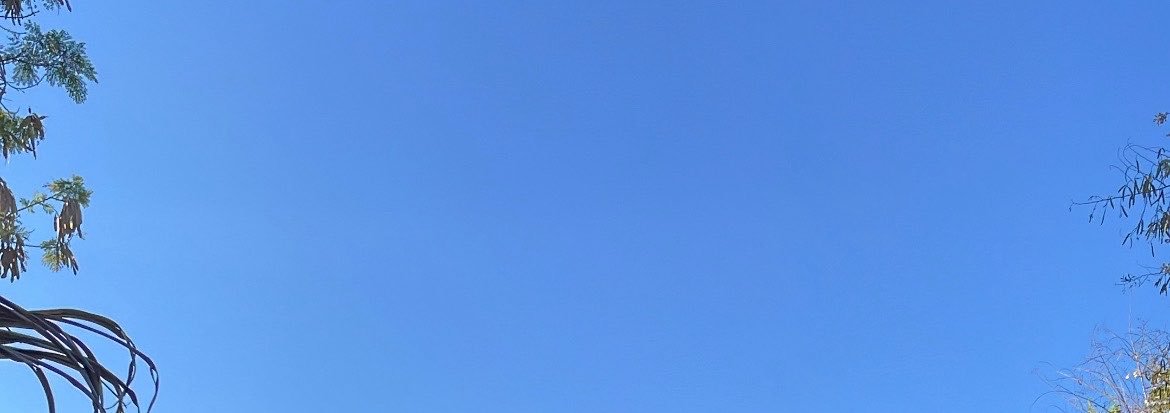ciizzz's profile banner image