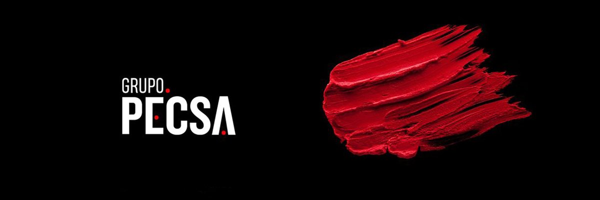 Grupo PECSA banner