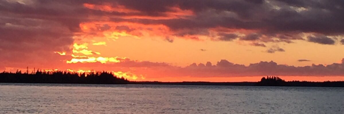 VilleHalinen's profile banner image