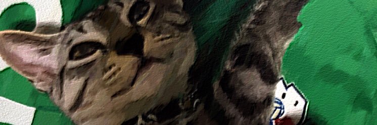 ymofan's profile banner image