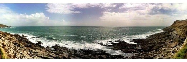 Maggie Procopi banner