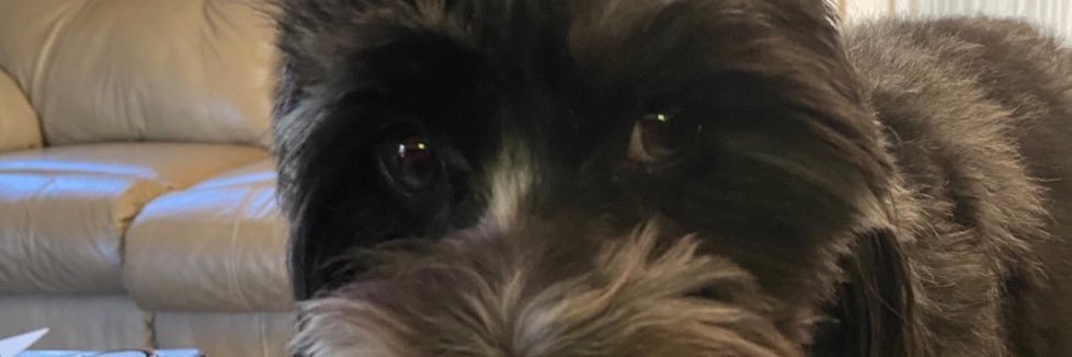 Snow20D's profile banner image
