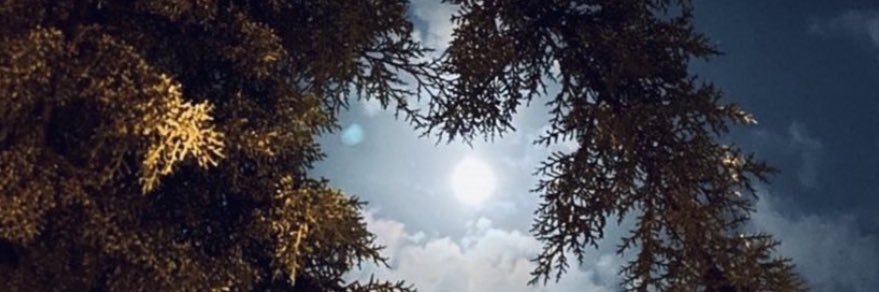 kh_alasmi4's profile banner image