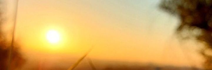 rahimi82's profile banner image