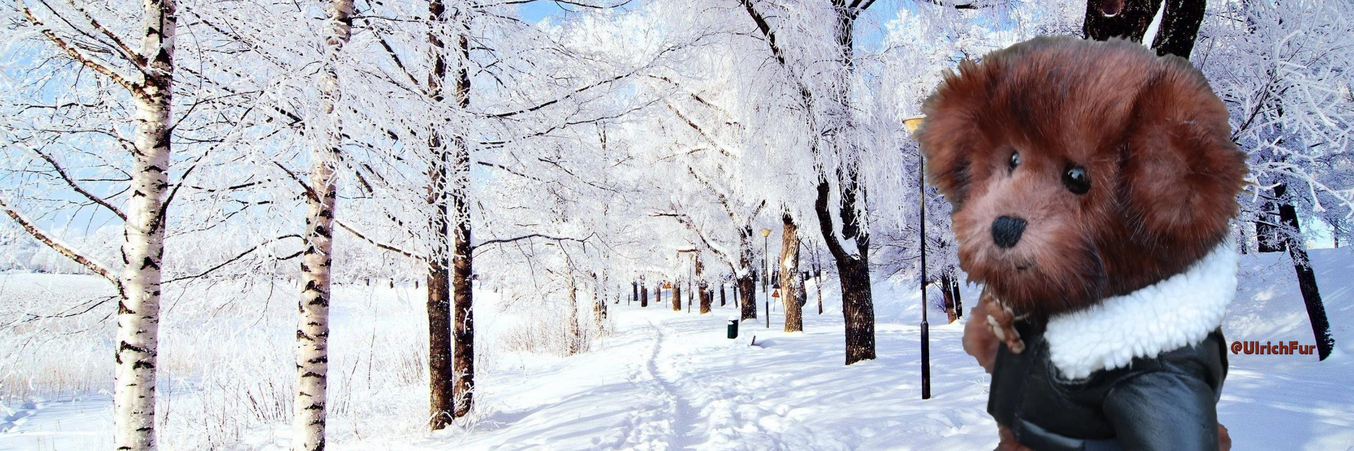 Ulrich von Minky banner