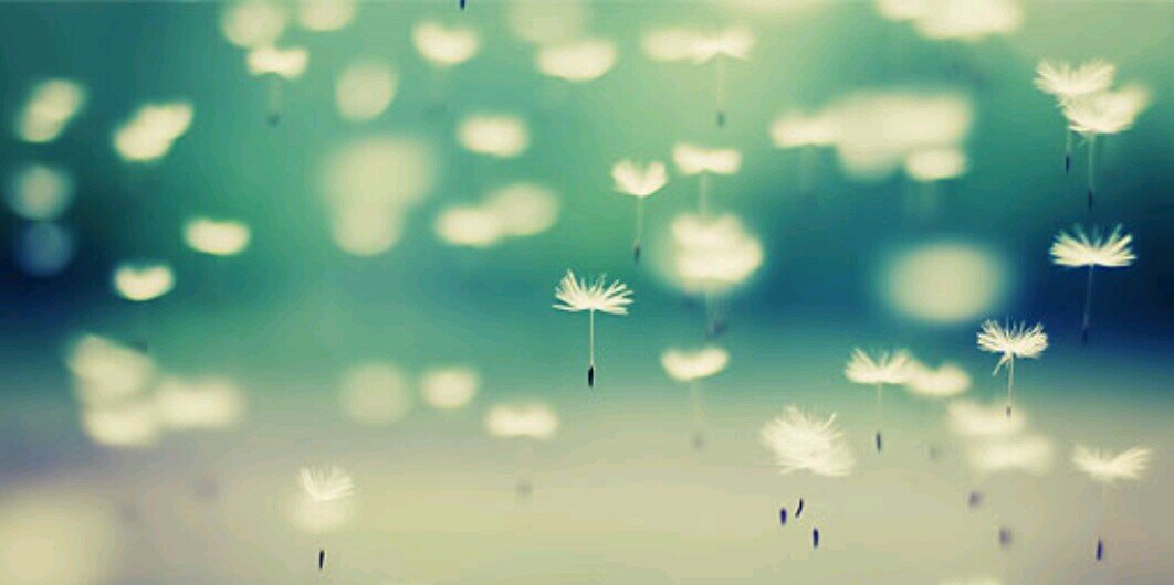 Maura_Kay's profile banner image