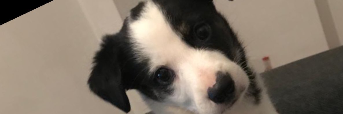 yeison_6's profile banner image