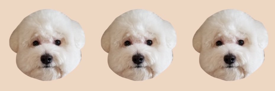 yerinkim's profile banner image