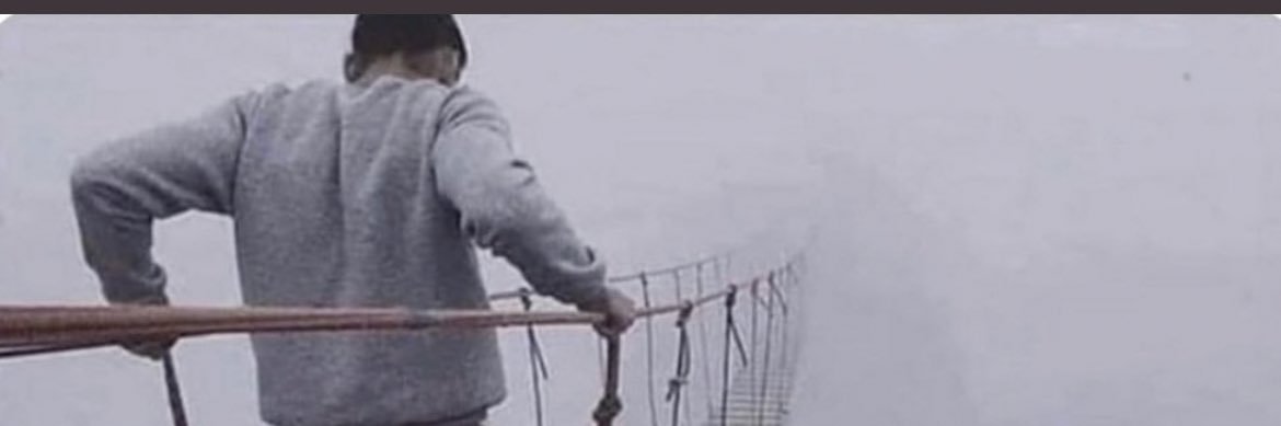 pizplease's profile banner image
