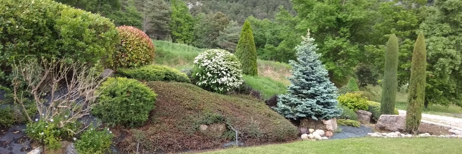pcomellas's profile banner image