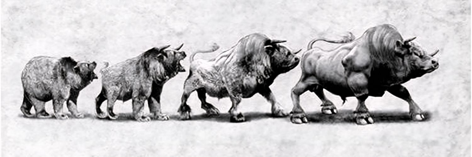 geogroen's profile banner image