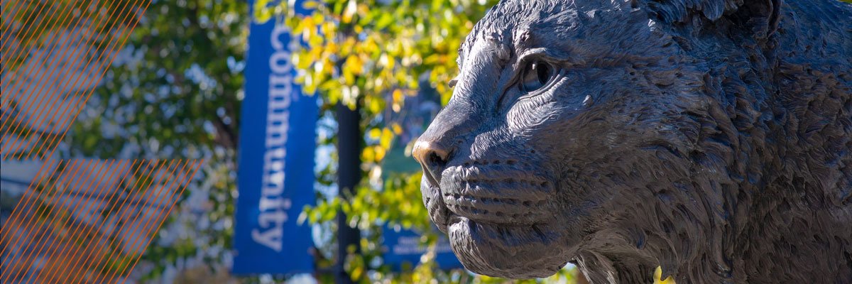 UNHAlumni's profile banner image