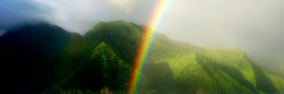 Alessandro Tinti banner