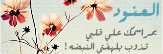 hind_yh's profile banner image