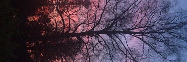 iismiz's profile banner image