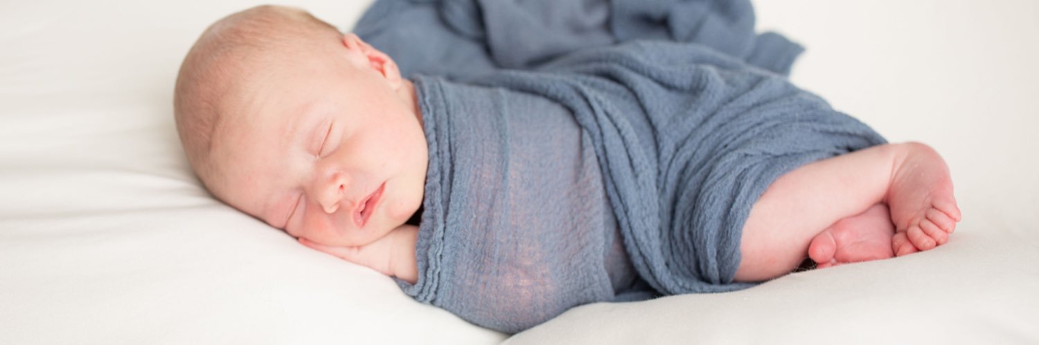 Ellaina Beauchamp banner