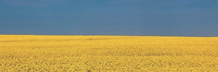 MssRyan's profile banner image