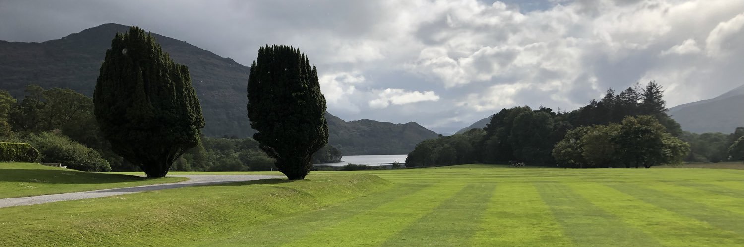 Traci Sparkman banner