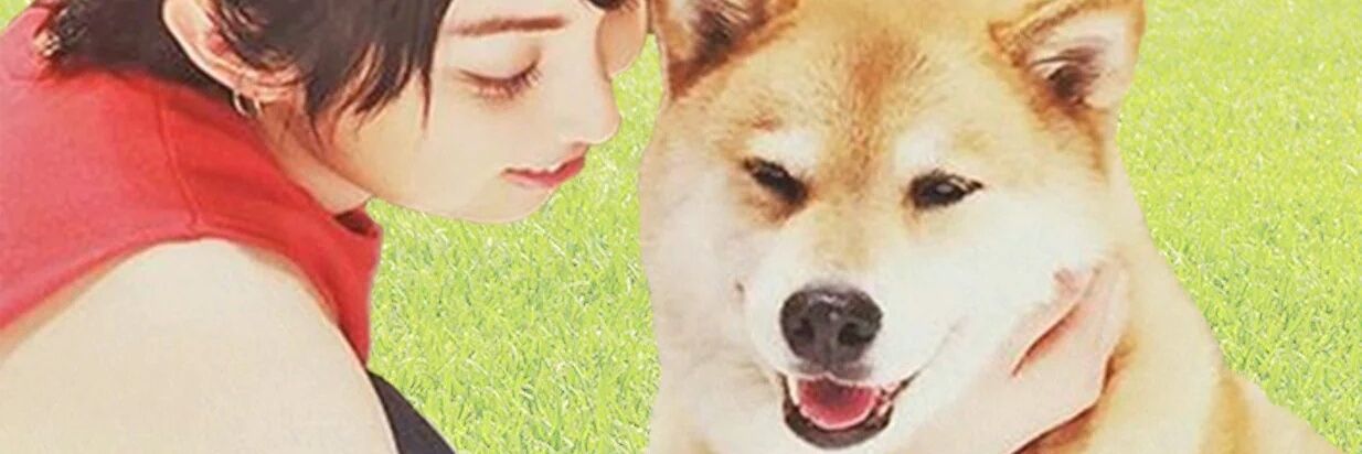 nishimura0519pc's profile banner image