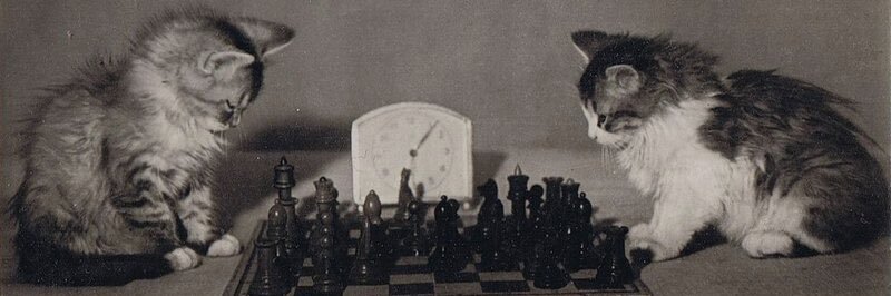 willthelocalman's profile banner image