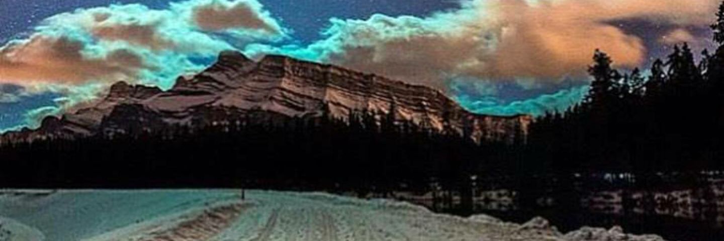 Aaron Campbell banner