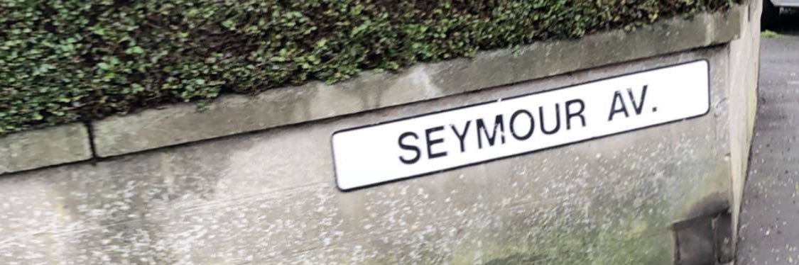 seymourr_'s profile banner image
