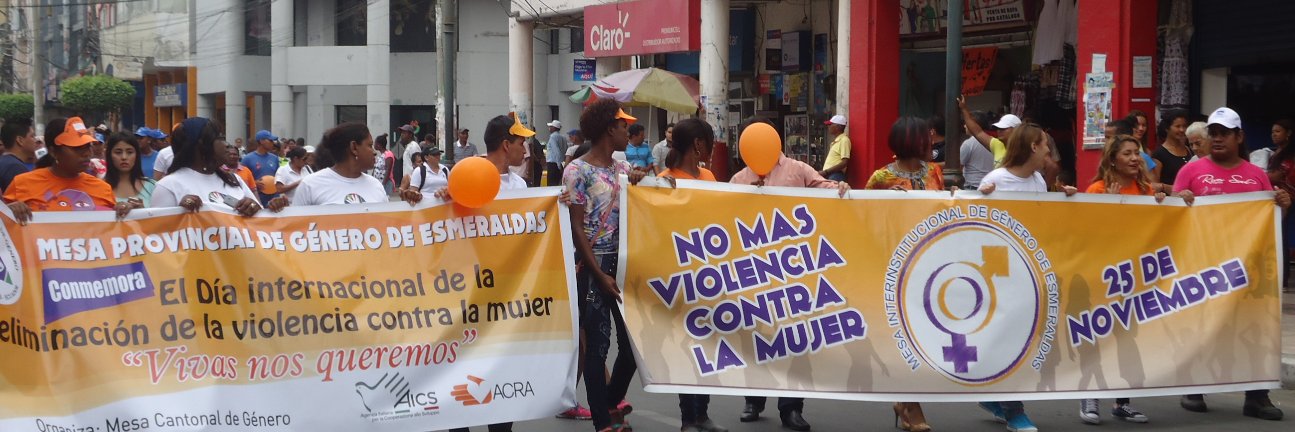 Mesa de Género banner