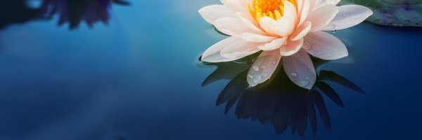 giannaorsi85's profile banner image