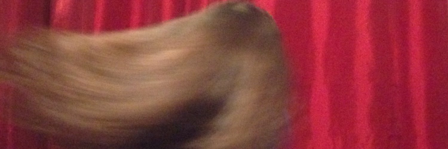 2016wish's profile banner image