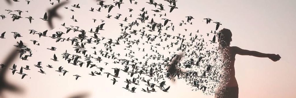 ALR00N's profile banner image