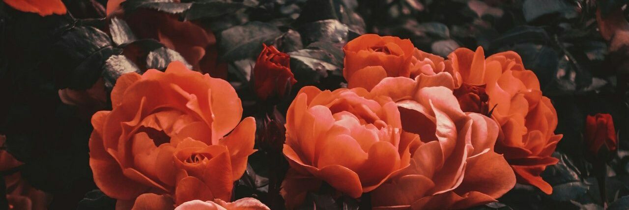 BasmaKhalid1's profile banner image