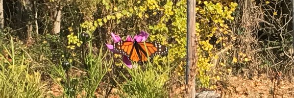 MrsMeghanMeade Profile Banner