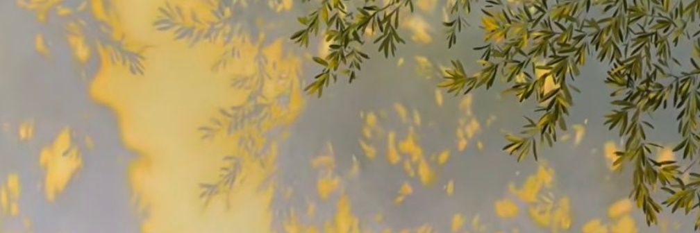 1DS_PRINCEEESS's profile banner image
