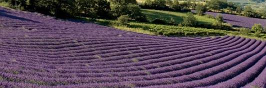 AttractiviteFr's profile banner image